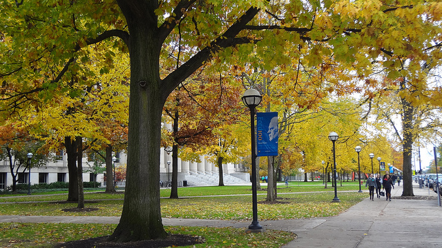 University of Michigan GRE Scores: What Do You Need?